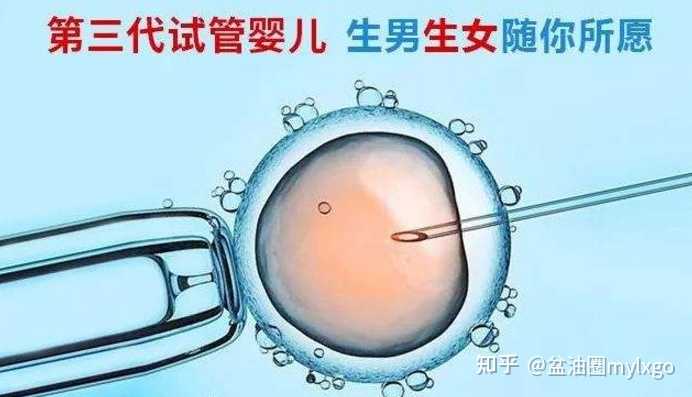 上海供卵试管婴儿单周费用明细一览，2023借卵试管生男孩费用清单-郑州哪里可